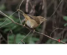 好博体育入口-按了建adeqsty60zcf